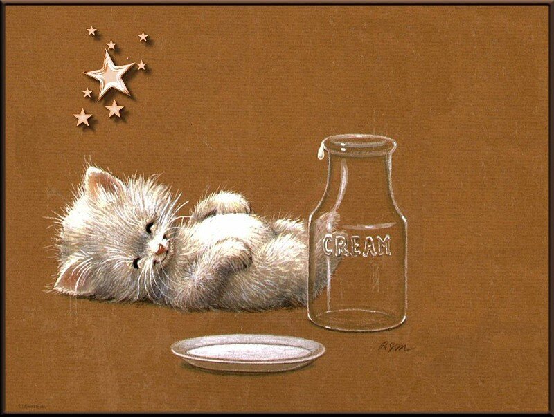 Sleeping kitten with cream bottle