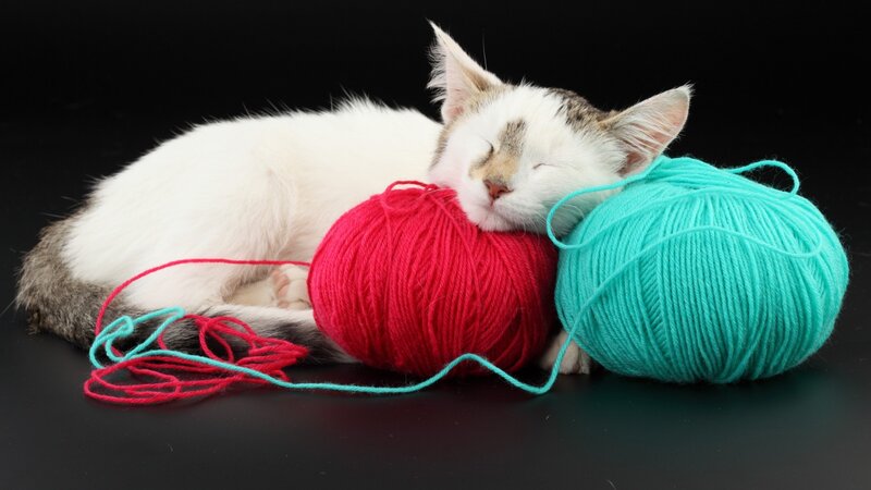 sleeping kitten with yarn balls