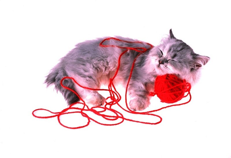 Sleeping Kitten with Yarn — White