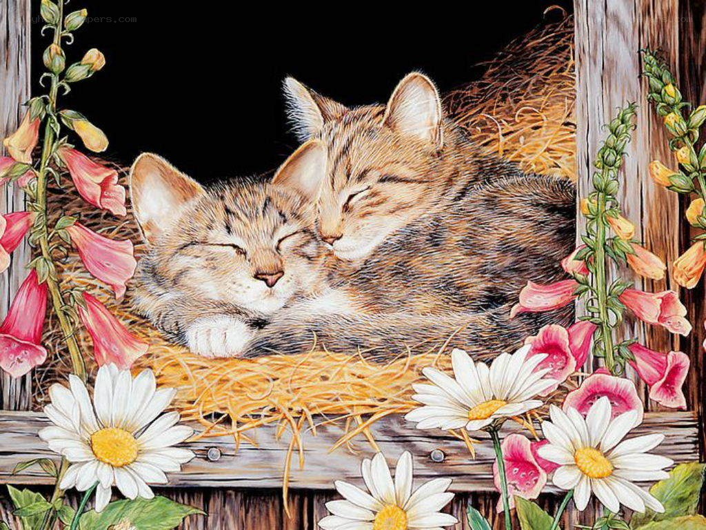 Sleeping kittens in hay