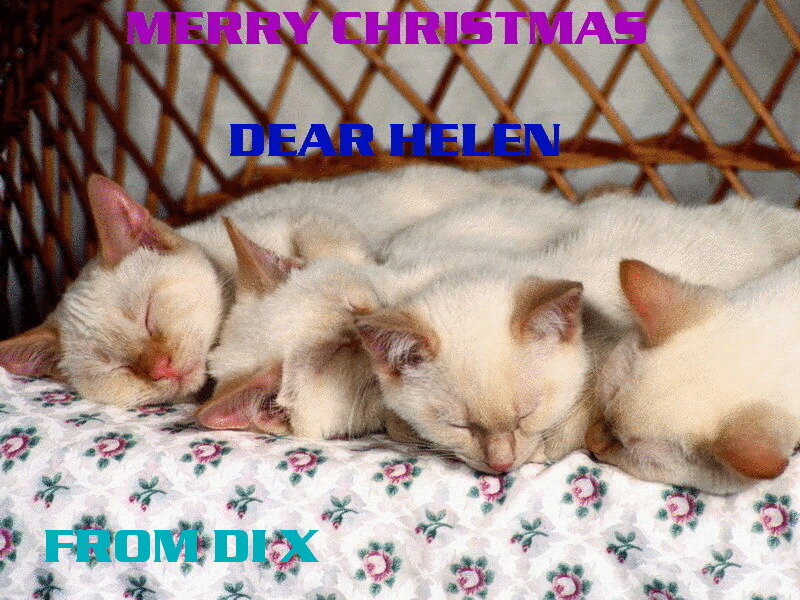 Sleeping Kittens — White, Peaceful