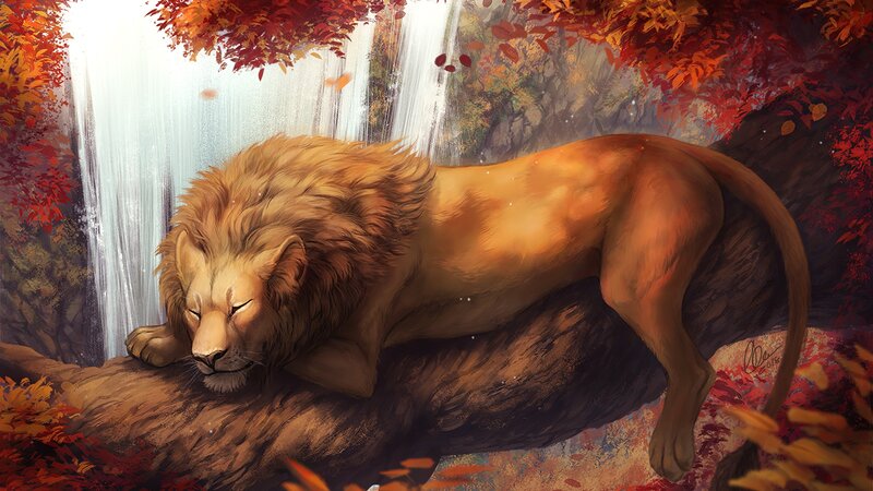Sleeping Lion on Log