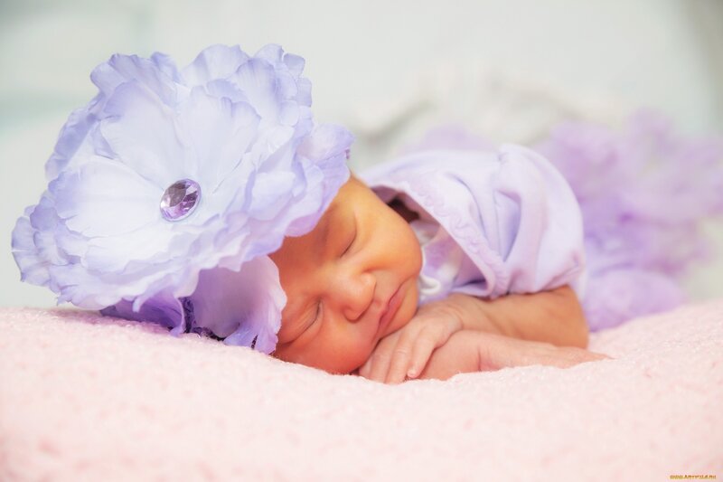 Sleeping Newborn Baby — Pink, Serene, Photograph, Flower Headband