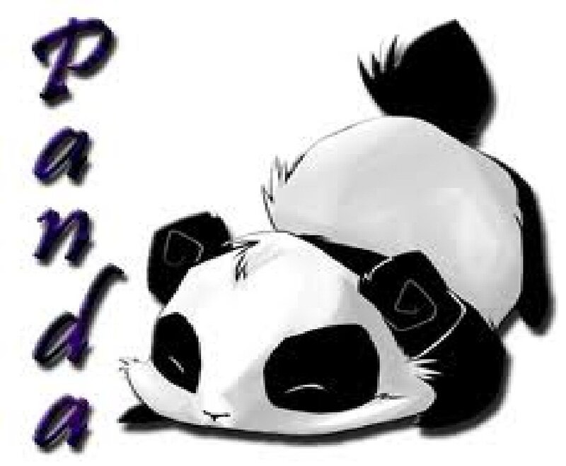 Sleeping Panda Bear