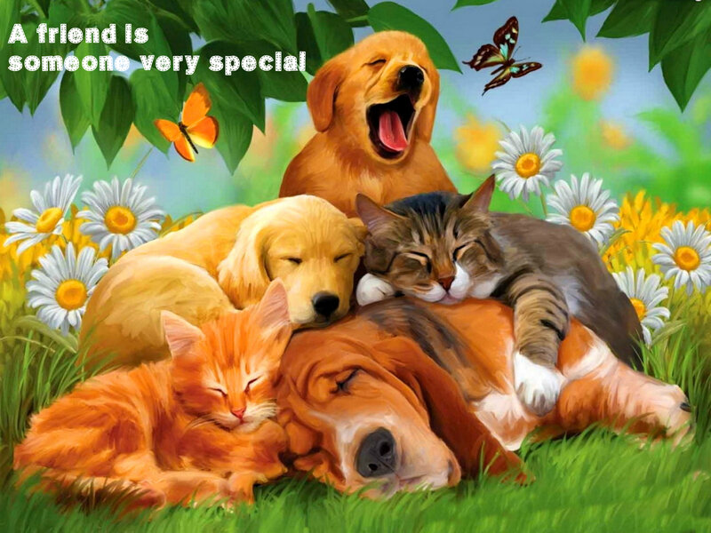 Sleeping Pets in Field — Green, Peaceful, Spring