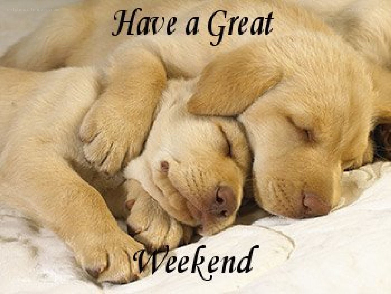 Sleeping puppies weekend wish