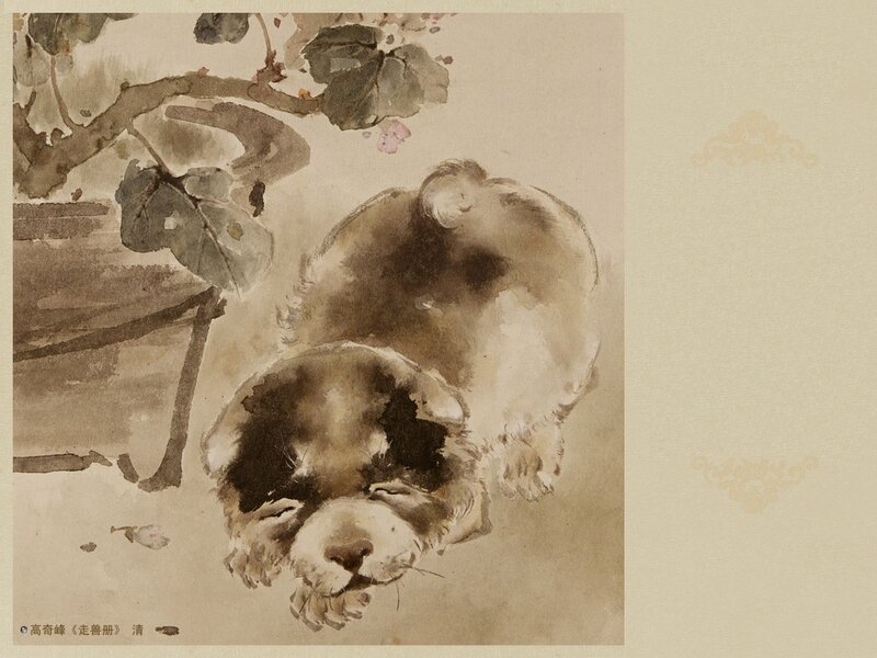 Sleeping puppy under a tree