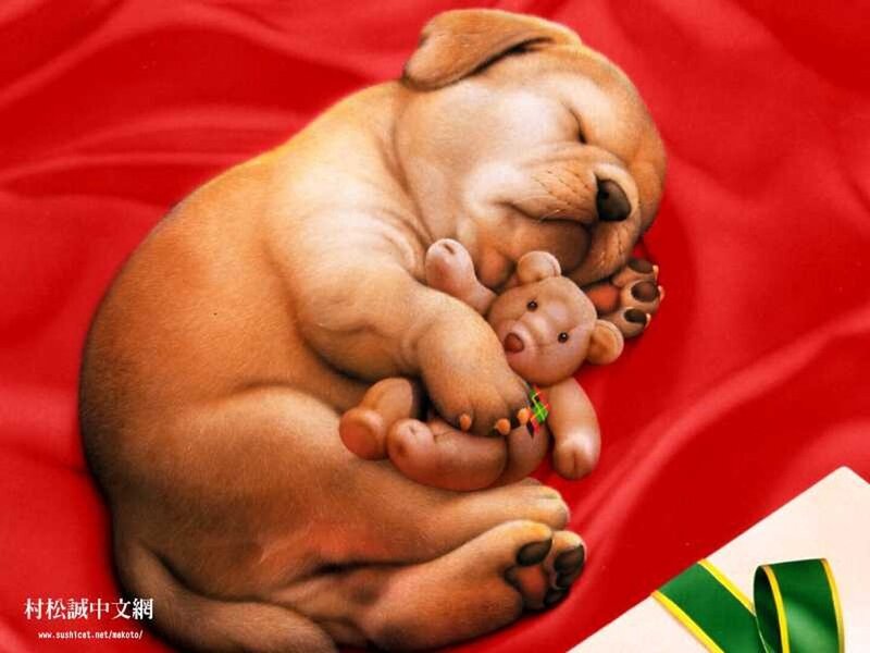 Sleeping puppy with teddy bear