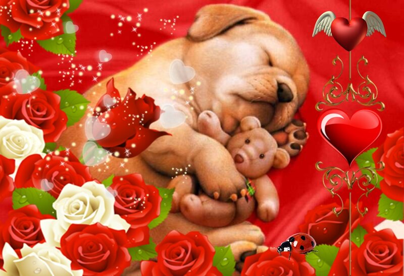 Sleeping Puppy with Teddy Bear — Red