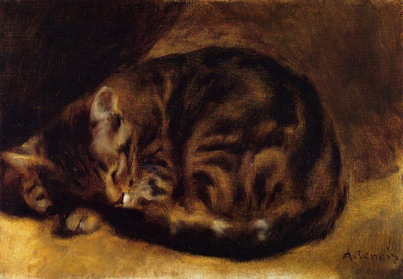 Sleeping tabby cat