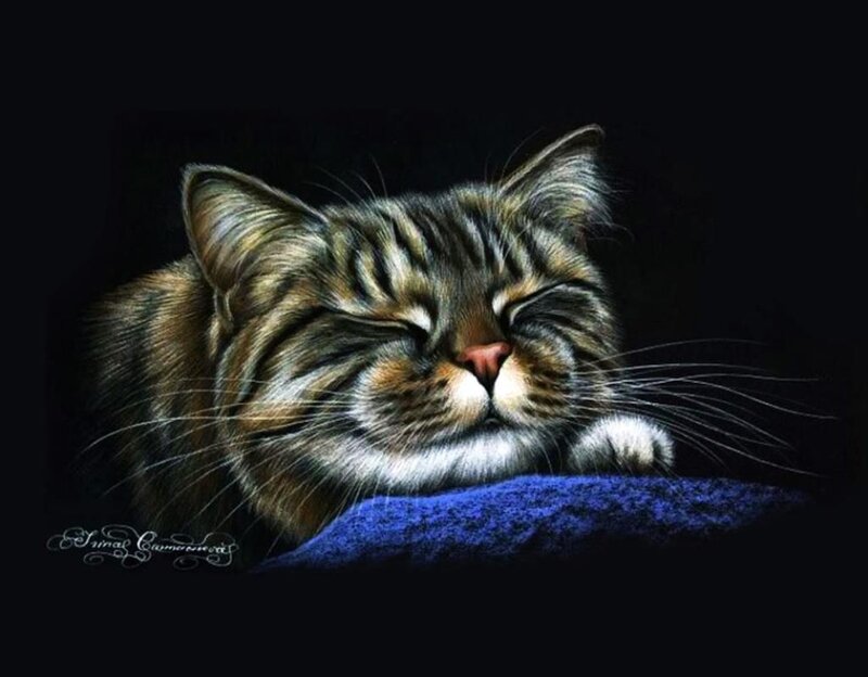 Sleeping Tabby Cat — Black, Serene, Digital Art, Blue Fabric
