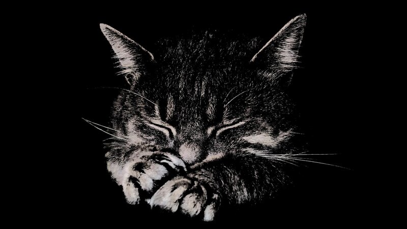 Sleeping Tabby Cat — Black, Serene, Illustration