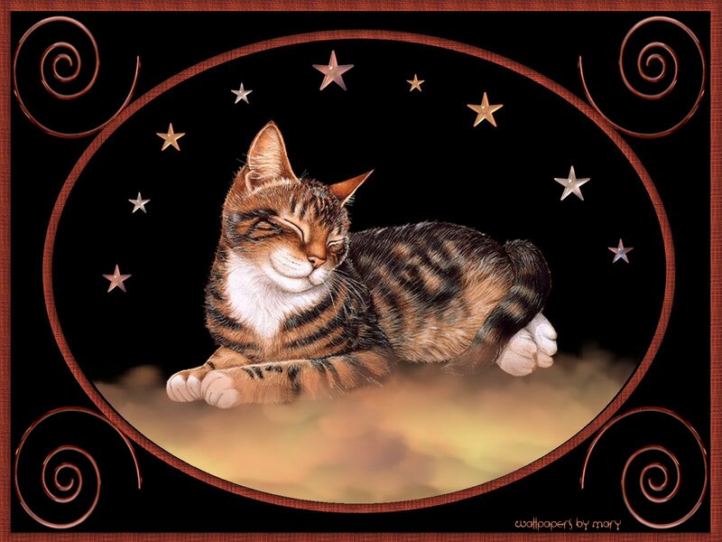 Sleeping Tabby Cat — Black, Serene, Night, Digital Art