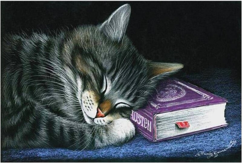 Sleeping Tabby Cat — Black, Serene, Night