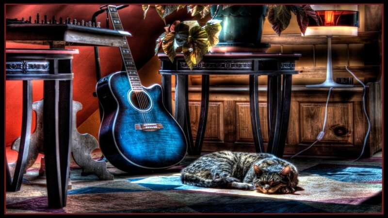 Sleeping Tabby Cat — Blue, Peaceful