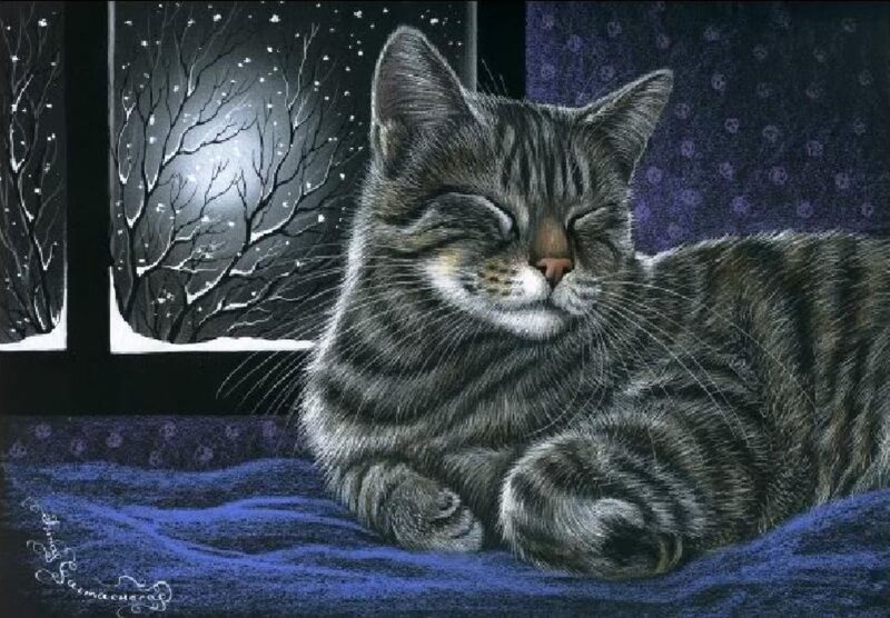 Sleeping Tabby Cat — Blue, Serene, Night