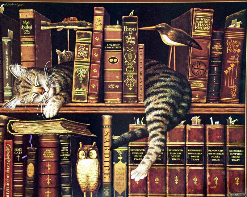 Sleeping Tabby Cat — Brown, Calm, Illustration