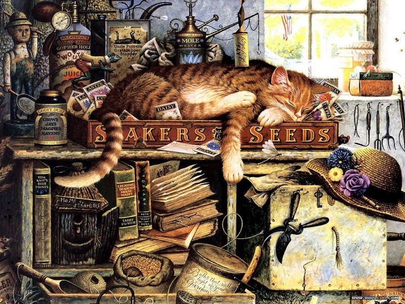 Sleeping Tabby Cat — Brown, Peaceful, Afternoon, Illustration