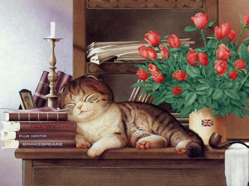 Sleeping Tabby Cat — Brown, Peaceful, Illustration, Books, Flowers