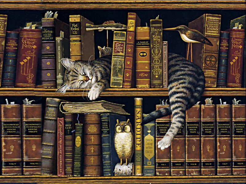 Sleeping Tabby Cat — Brown, Peaceful, Illustration, Books