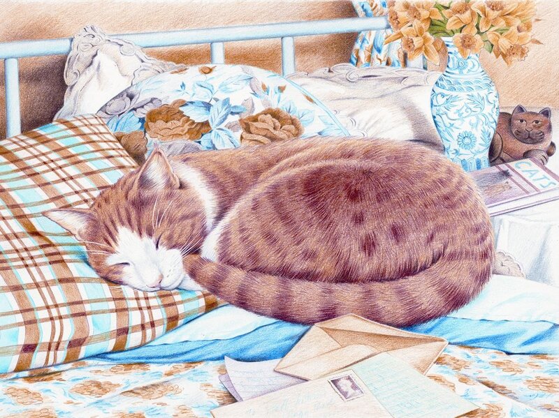 Sleeping Tabby Cat — Brown, Serene, Morning, Illustration