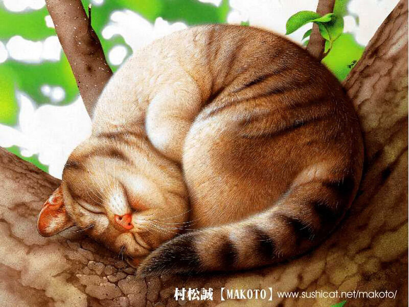 Sleeping Tabby Cat — Brown, Serene, Morning
