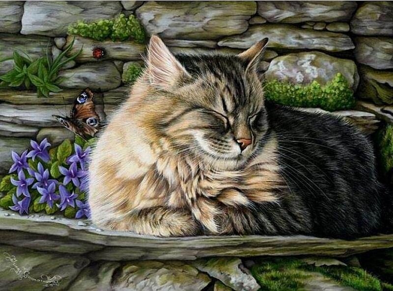 Sleeping Tabby Cat — Brown, Serene, Spring