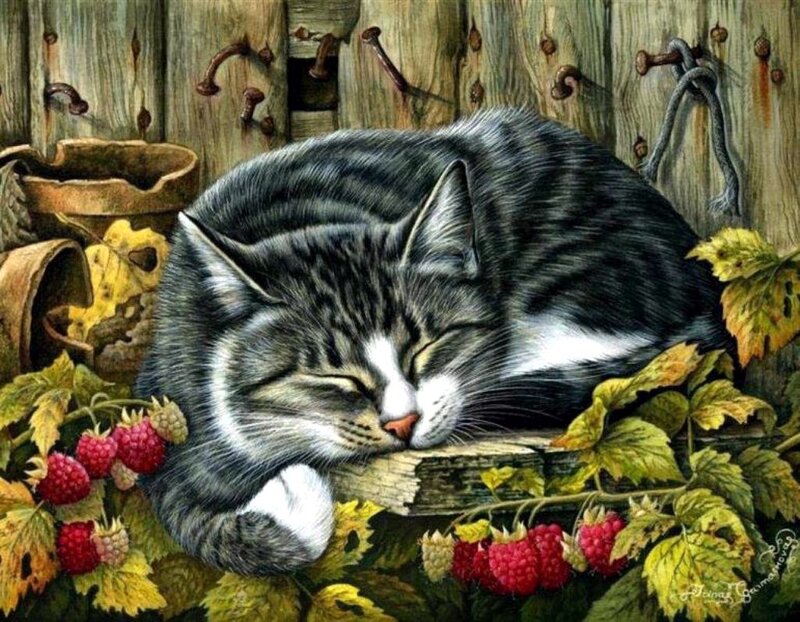 Sleeping Tabby Cat — Gray, Peaceful, Autumn