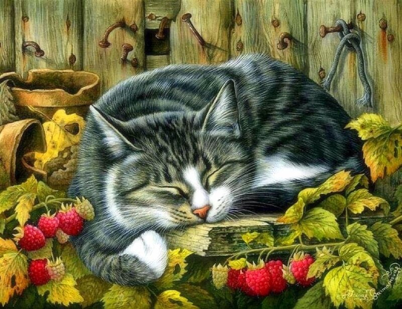Sleeping Tabby Cat — Green, Serene, Autumn, Illustration