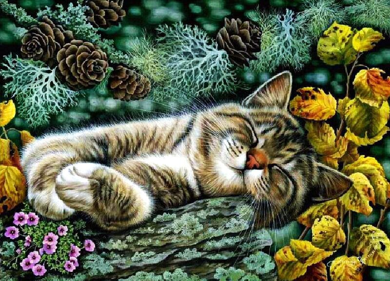 Sleeping Tabby Cat — Green, Serene, Autumn