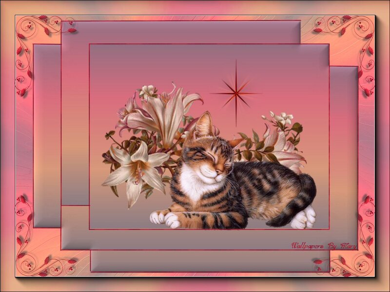 Sleeping Tabby Cat — Pink, Serene