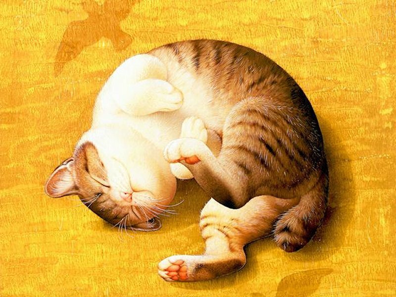 Sleeping Tabby Cat — Yellow