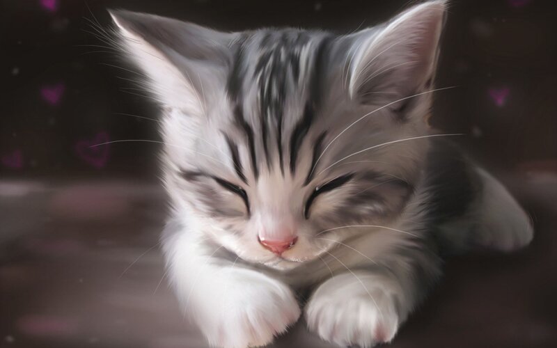 Sleeping Tabby Kitten — Gray, Peaceful, Digital Art, Hearts