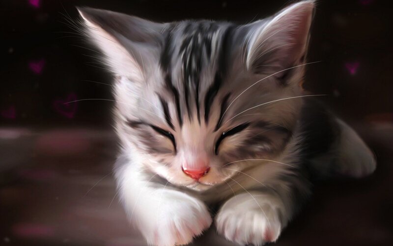 Sleeping Tabby Kitten — Gray, Peaceful, Digital Art