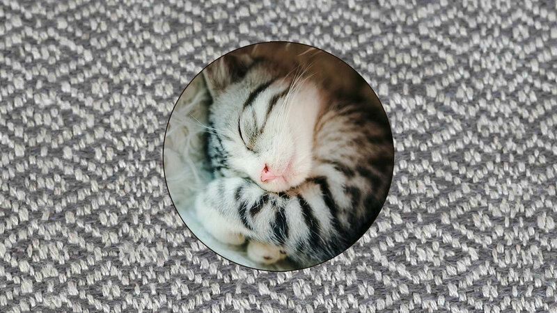 Sleeping Tabby Kitten — Gray, Peaceful, Photograph, Cat, Fabric
