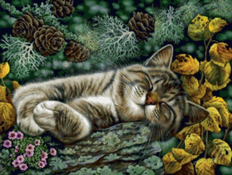 Sleeping Tabby Kitten — Green, Peaceful