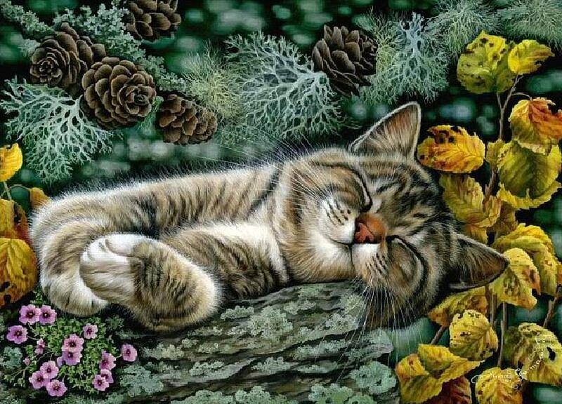 Sleeping Tabby Kitten — Green