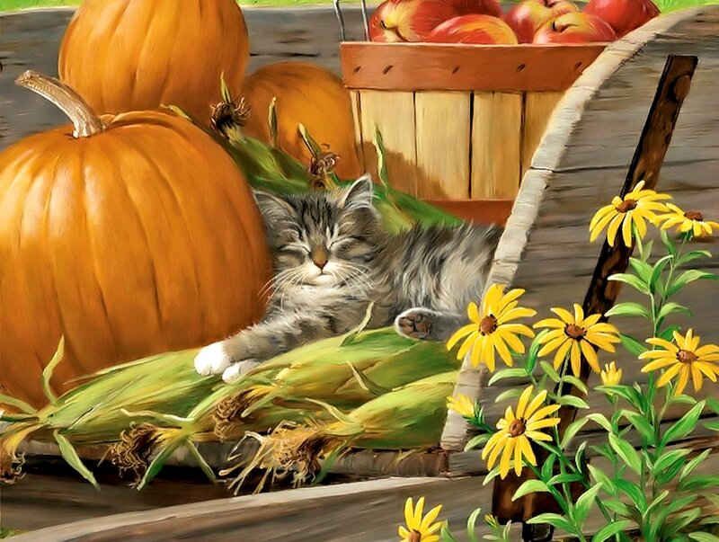 Sleeping Tabby Kitten — Orange, Peaceful, Autumn, Painting