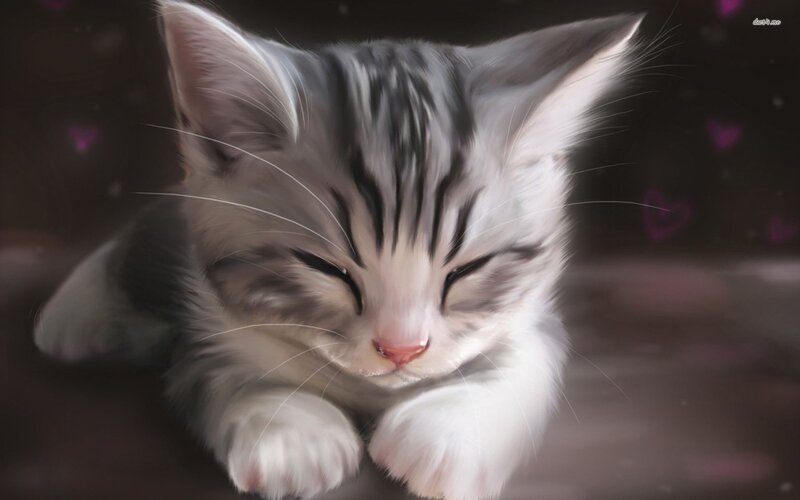 Sleeping Tabby Kitten — White, Serene, Digital Art