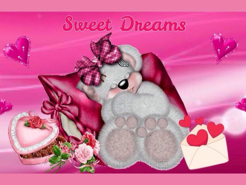Sleeping Teddy Bear