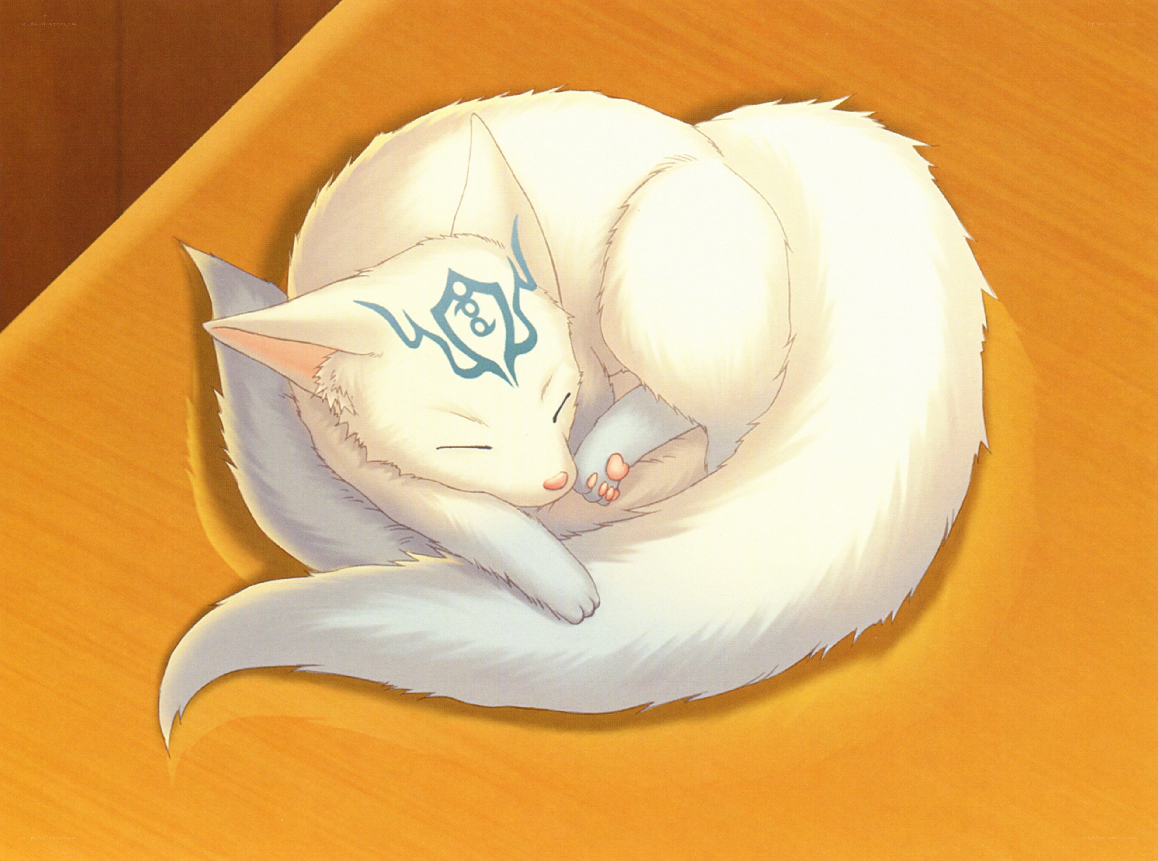 Sleeping white fox cub