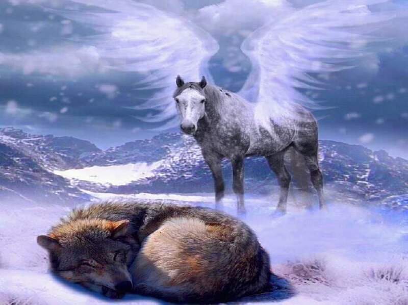 Sleeping Wolf and Winged Horse