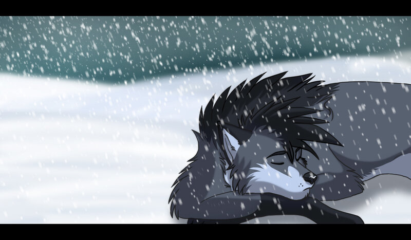 Sleeping Wolf in Snow — Gray