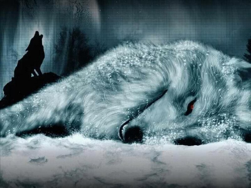 Sleeping Wolf in Snow — White, Dramatic, Night