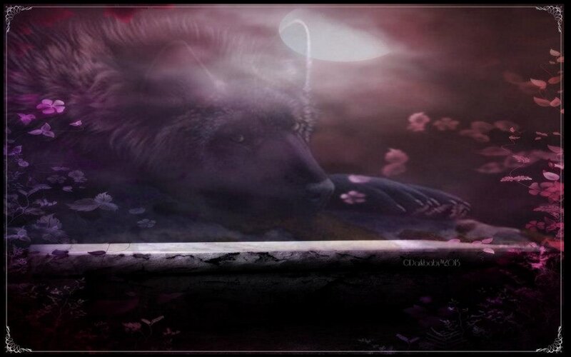 Sleeping Wolf under Moon