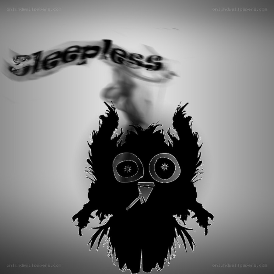 sleepless owl character