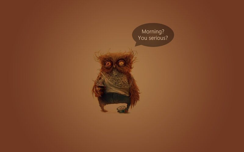 Sleepy Owl Character