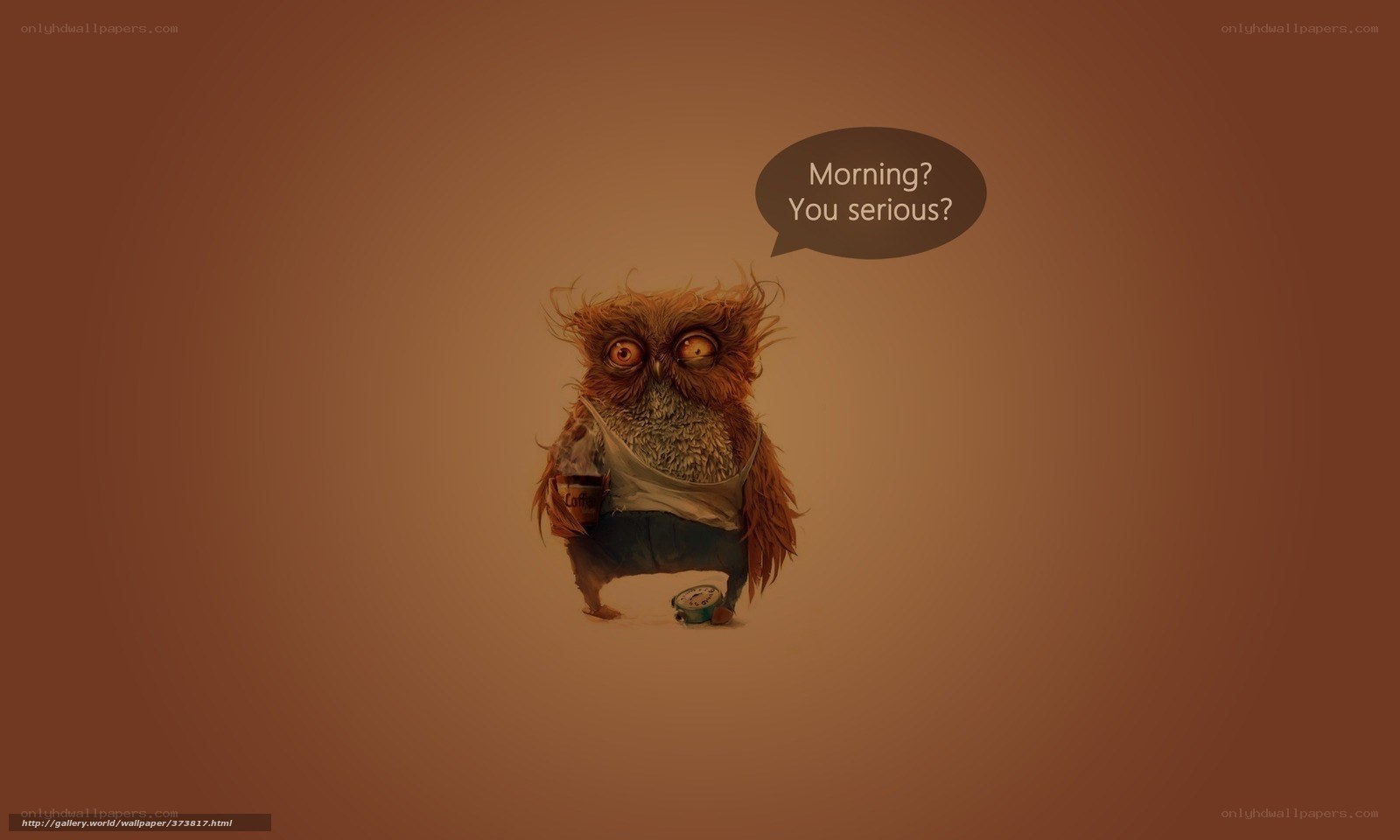 sleepy owl morning humor
