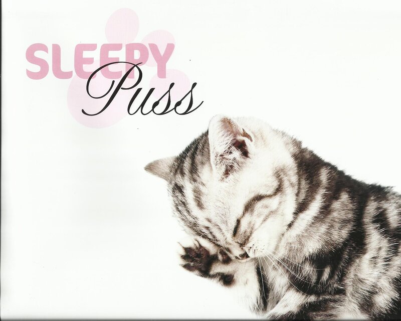 Sleepy Tabby Cat — White