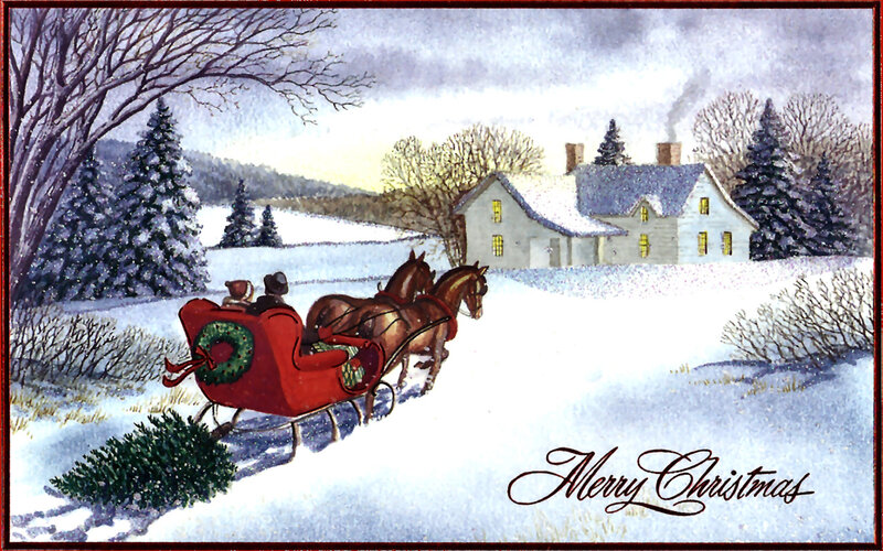 Sleigh with Horses in Snow — White, Peaceful